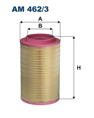 Oro filtras FILTRON AM 462/3