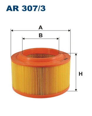 Oro filtras FILTRON AR 307/3