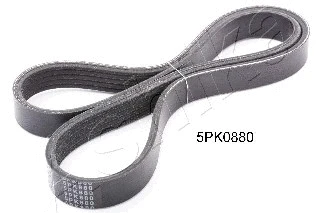 Dirželis ASHIKA 112-5PK880