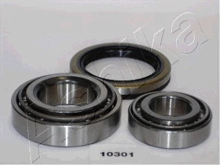 Rato guolio komplektas ASHIKA 44-10301