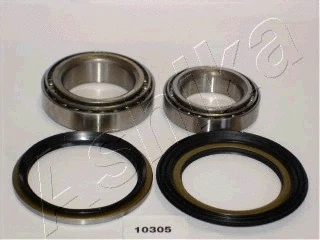 Rato guolio komplektas ASHIKA 44-10305