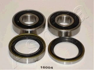 Rato guolio komplektas ASHIKA 44-16004