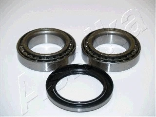Rato guolio komplektas ASHIKA 44-18001