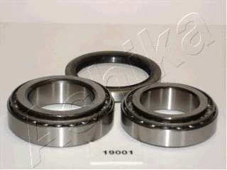 Rato guolio komplektas ASHIKA 44-19001