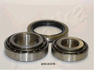 Rato guolio komplektas ASHIKA 44-20309