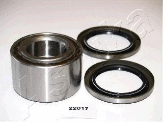 Rato guolio komplektas ASHIKA 44-22017