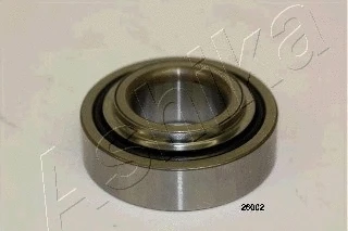 Rato guolio komplektas ASHIKA 44-26002