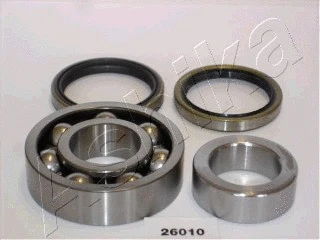 Rato guolio komplektas ASHIKA 44-26010