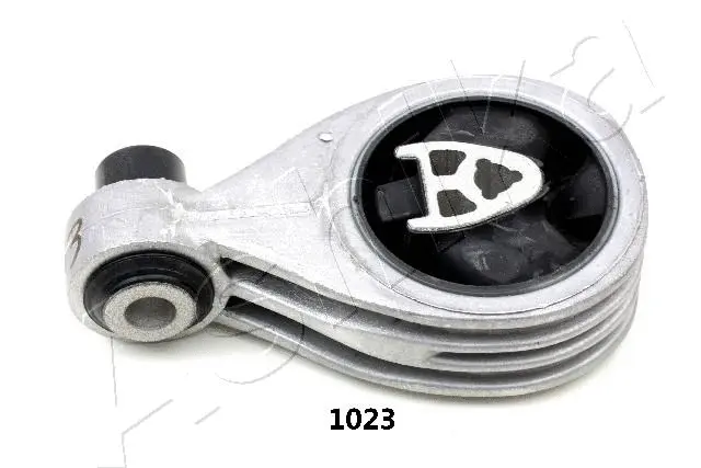 Variklio montavimas ASHIKA GOM-1023