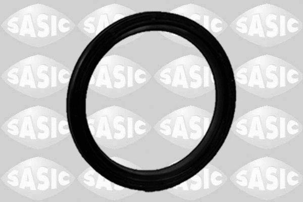 Įsiurbimo kolektoriaus tarpinė SASIC 1950011
