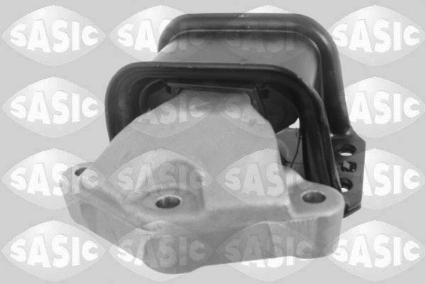 Variklio montavimas SASIC 2700038