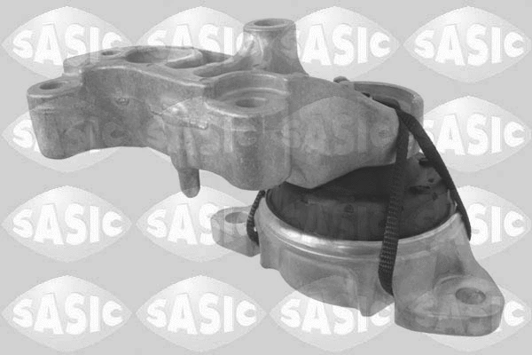 Variklio montavimas SASIC 2704077