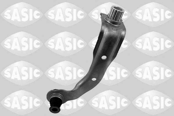 Variklio montavimas SASIC 2704091