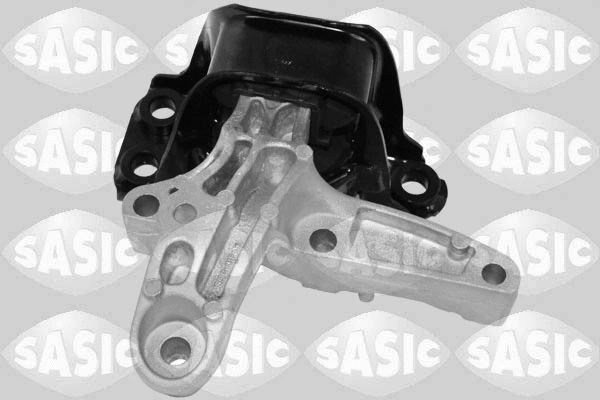 Variklio montavimas SASIC 2704116
