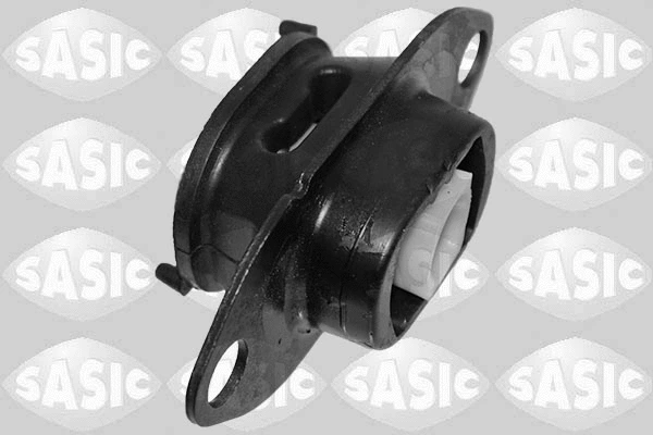 Variklio montavimas SASIC 2704126