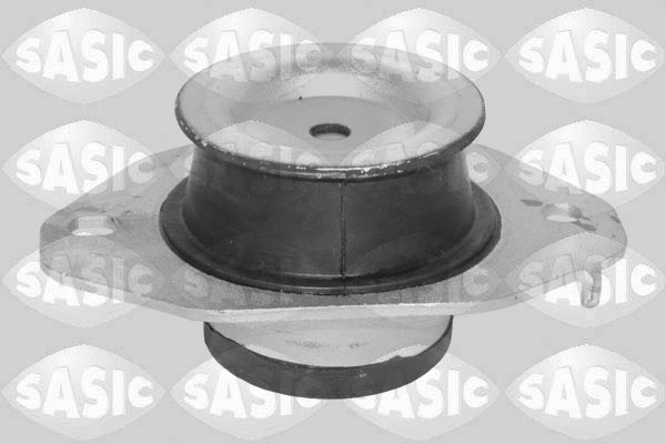 Variklio montavimas SASIC 2704136