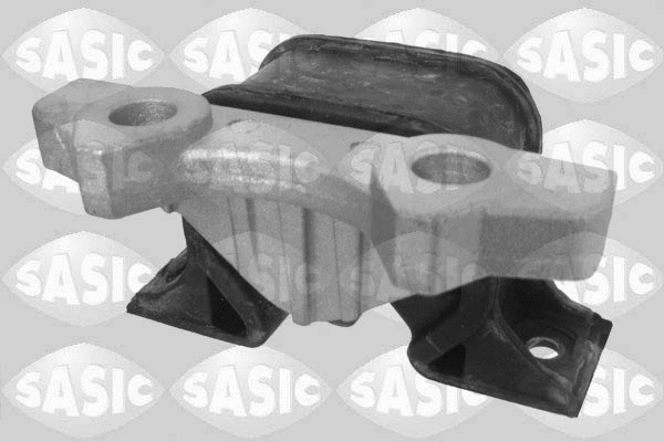 Variklio montavimas SASIC 2706058