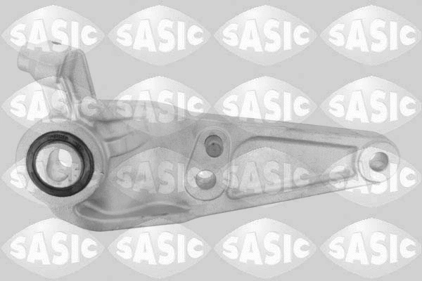 Variklio montavimas SASIC 2706068