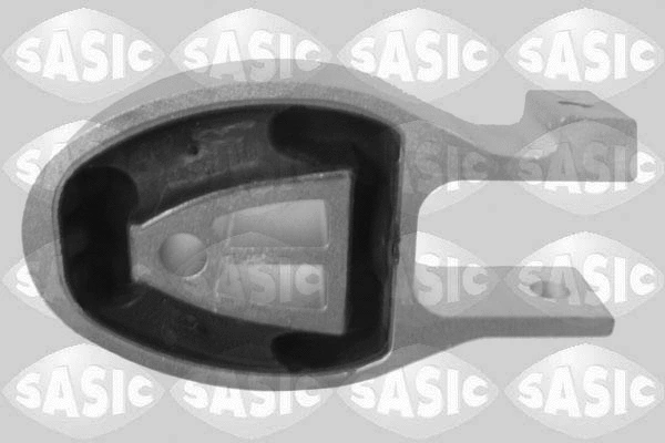 Variklio montavimas SASIC 2706081