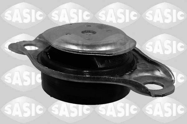 Variklio montavimas SASIC 2706108