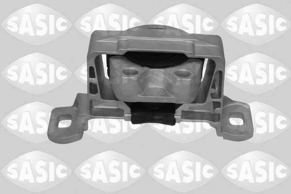 Variklio montavimas SASIC 2706114