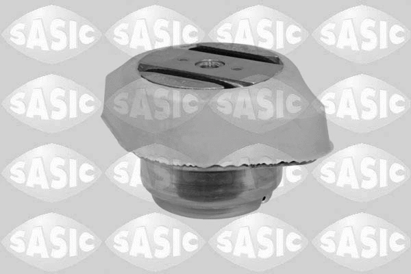 Variklio montavimas SASIC 2706124