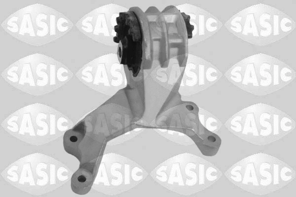 Variklio montavimas SASIC 2706125