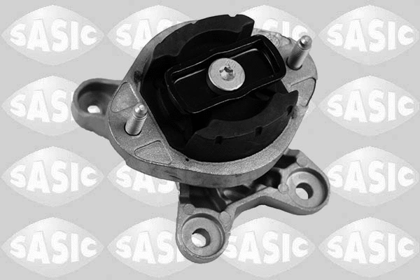 Variklio montavimas SASIC 2706142