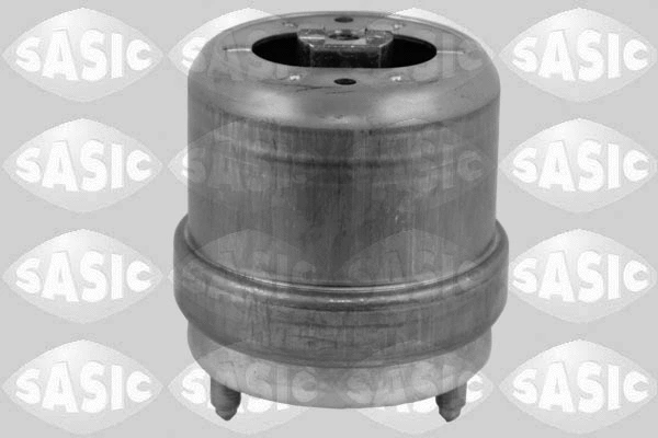 Variklio montavimas SASIC 2706180