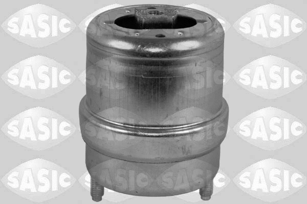 Variklio montavimas SASIC 2706185