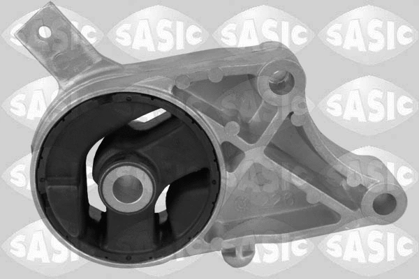 Variklio montavimas SASIC 2706229