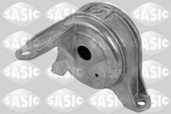 Variklio montavimas SASIC 2706251