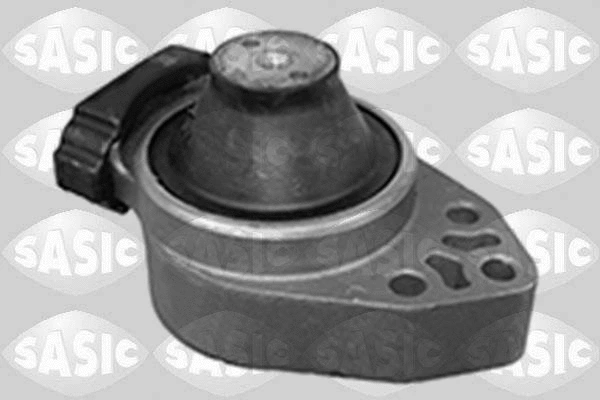 Variklio montavimas SASIC 2706288