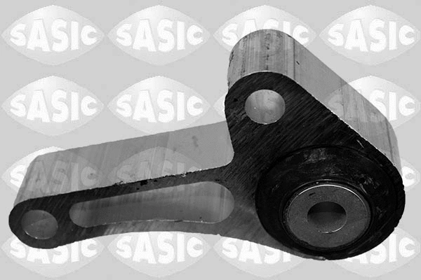 Variklio montavimas SASIC 2706340