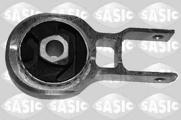 Variklio montavimas SASIC 2706341