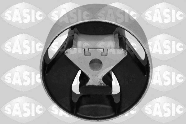 Variklio montavimas SASIC 2706379