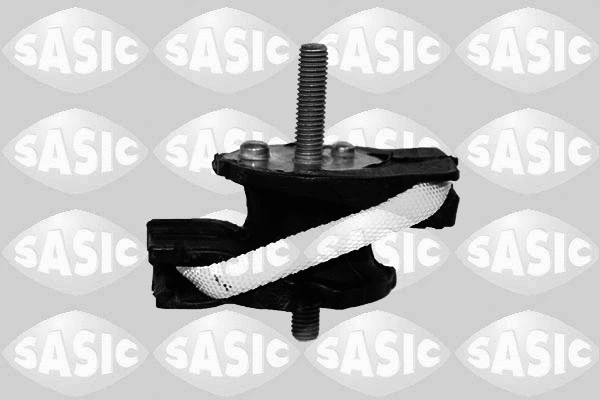 Variklio montavimas SASIC 2706381