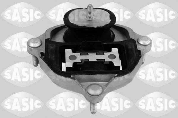 Variklio montavimas SASIC 2706465