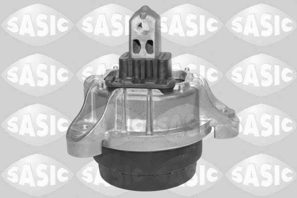 Variklio montavimas SASIC 2706482