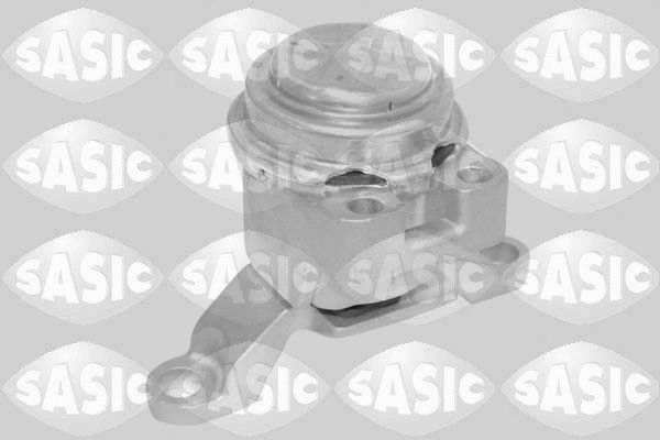 Variklio montavimas SASIC 2706522