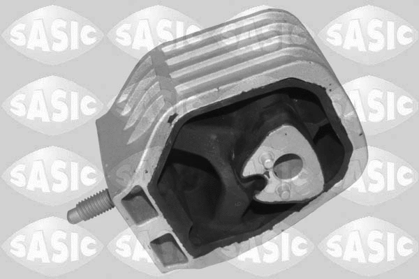 Variklio montavimas SASIC 2706554
