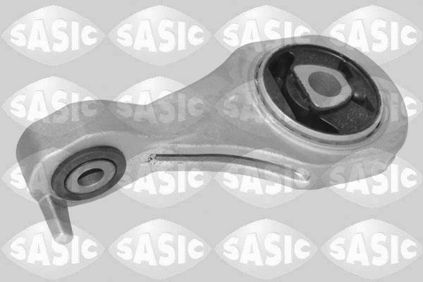 Variklio montavimas SASIC 2706574