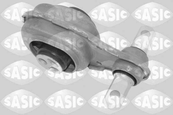 Variklio montavimas SASIC 2706718