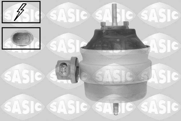 Variklio montavimas SASIC 2706752