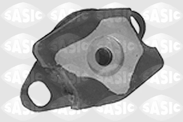 Variklio montavimas SASIC 4001748