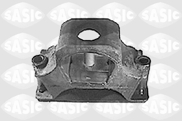 Variklio montavimas SASIC 8431931