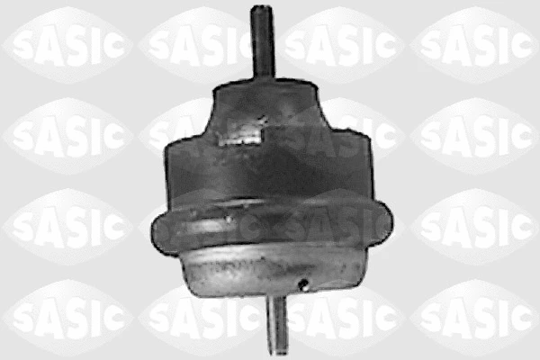 Variklio montavimas SASIC 8441471