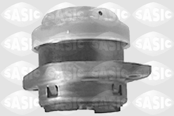 Variklio montavimas SASIC 8441601