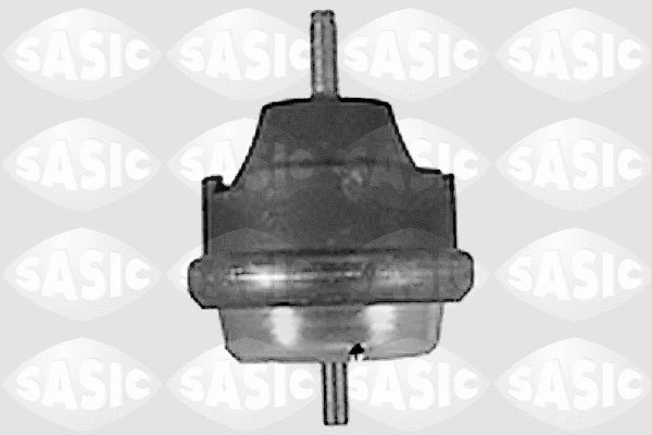 Variklio montavimas SASIC 8441771