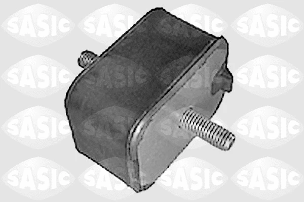 Variklio montavimas SASIC 9001354